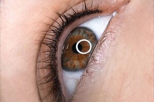 Барсегянц Алина Александровна — Портфолио №13