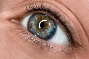 Барсегянц Алина Александровна — Портфолио №15