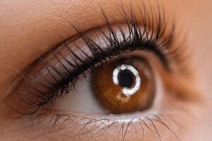 Барсегянц Алина Александровна — Портфолио №16