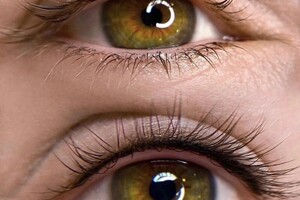 Барсегянц Алина Александровна — Портфолио №17