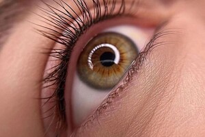 Барсегянц Алина Александровна — Портфолио №18