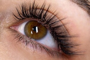 Барсегянц Алина Александровна — Портфолио №2