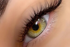 Барсегянц Алина Александровна — Портфолио №3