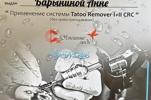 БАРЫНИНА Анна Николаевна — Диплом / сертификат №17