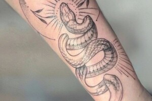 Бондаренко Алина Руслановна — Портфолио №1