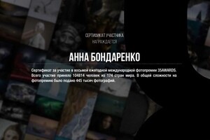 Диплом / сертификат №2 — Бондаренко Анна Вячеславовна