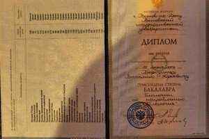 Борозинец Василий Юрьевич — Диплом / сертификат №3