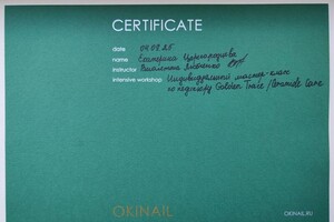 Царегородцева Екатерина Николаевна — Диплом / сертификат №1