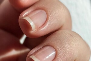 Царегородцева Екатерина Николаевна — Портфолио №2