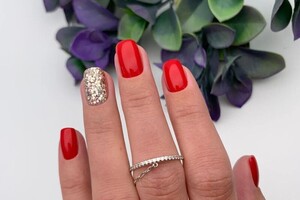 Царегородцева Екатерина Николаевна — Портфолио №3