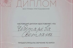 Диплом / сертификат №14 — Чеботарева Светлана Викторовна