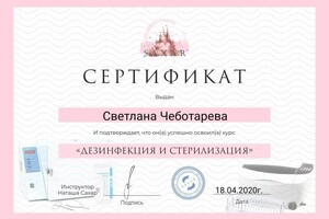 Диплом / сертификат №7 — Чеботарева Светлана Викторовна