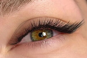 Чернова Виктория Михайловна — Лисичка — Портфолио №92