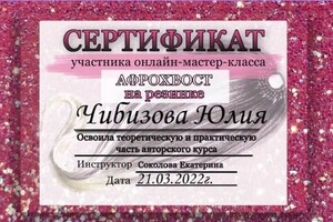 Диплом / сертификат №3 — Чибизова Юлия Андреевна