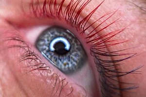 Чиркова Мария Сергеевна — Портфолио №14