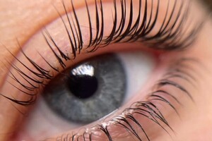 Чиркова Мария Сергеевна — Портфолио №8