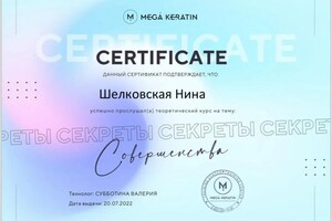 Диплом / сертификат №2 — Демченко Нина Николаевна