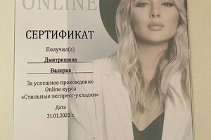 Диплом / сертификат №13 — Дмитришина Валерия Евгеньевна