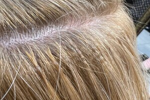 ЕЕ Ип Зыкина — Портфолио №2