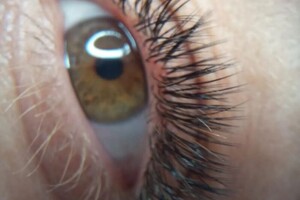 Галдина Татьяна Евгеньевна — Портфолио №2