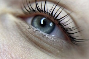 Галустова Карина Акоповна — Портфолио №8