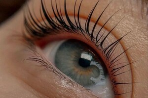 Галустова Карина Акоповна — Портфолио №9