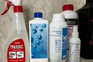 Гаспарян Тагуи Хнканосовна — Средства для дезинфекции — Портфолио №2