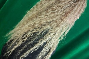 Горбасенко Олеся Александровна — Портфолио №5