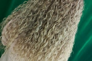 Горбасенко Олеся Александровна — Портфолио №6