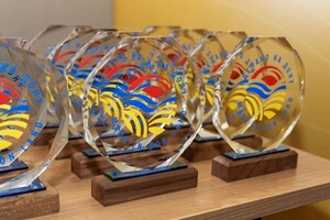 Гожа Людмила Александровна — Портфолио №126