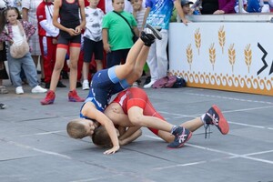 Гожа Людмила Александровна — Портфолио №137