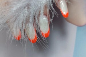 Гулина Наталья Николаевна — Портфолио №57