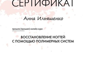 Диплом / сертификат №13 — Ильяшенко Анна Александровна