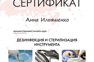 Диплом / сертификат №14 — Ильяшенко Анна Александровна