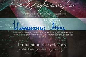 Диплом / сертификат №21 — Ильяшенко Анна Александровна