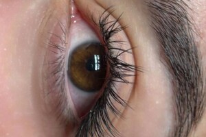 Ивасенкова Владислава Вадимовна — натуральная лиса эффект — Портфолио №2