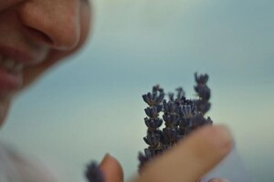 Ивашин Эдуард Аркадьевич — Портфолио №384