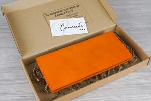 Изъюрова Дарья Андреевна — Портфолио №16