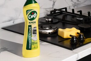 Карапетян Алина Арнольдовна — Портфолио №4