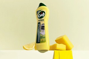 Карапетян Алина Арнольдовна — Портфолио №5