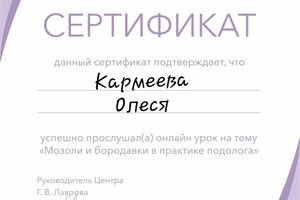 Диплом / сертификат №2 — Кармеева Олеся Камиловна