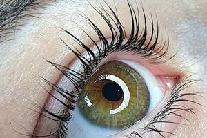 Катагура Яна Германовна — Портфолио №10