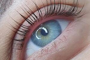 Катагура Яна Германовна — Портфолио №20