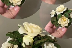 Антонян Светлана Сергеевна — Портфолио №18