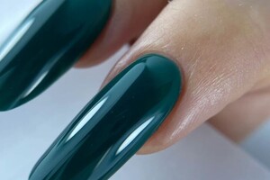 Колесник Галина Сергеевна — Портфолио №7