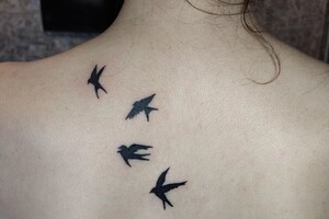 Кондакова Алёна Сергеевна — Портфолио №5