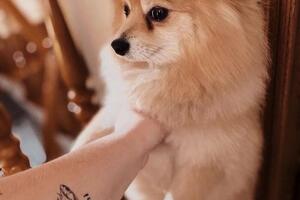 Кордубан Анна Игоревна — 1.500? — Портфолио №9