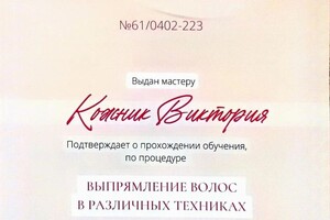 Диплом / сертификат №11 — Кожник Виктория Николаевна