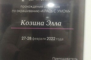 Диплом / сертификат №8 — Козина Элла Геннадьевна