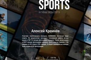 Диплом / сертификат №4 — Кремнёв Алексей Анатольевич